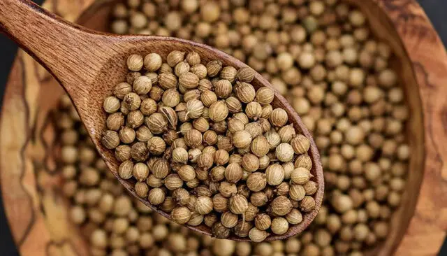 Cilantro Fresco y Aromático – Estrella del Sur Puebla Cilantro seco, ideal para dar sabor a tus platillos. En Estrella del Sur Puebla, ofrecemos hierbas de la más alta calidad.